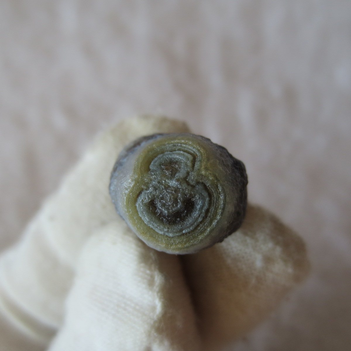 tiny gobi desert eye agate natural collectible rough stone specimen (m265) (copy)