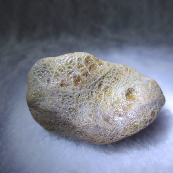 natural gobi eye stone，raw oracle eye agate，collectible crystal specimen (m106)
