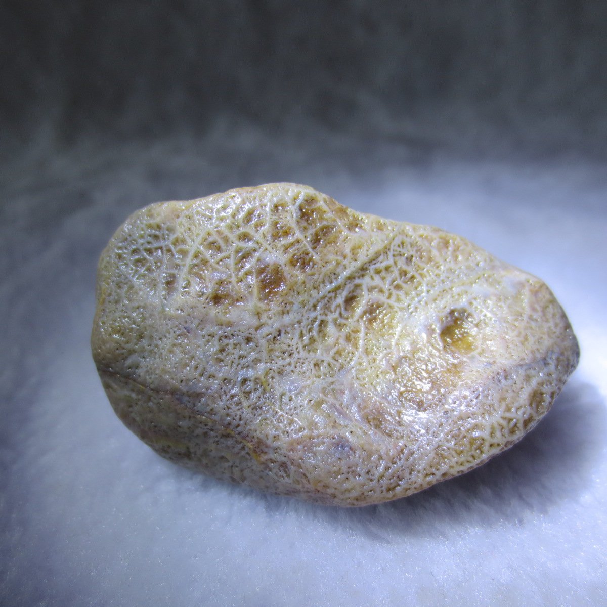natural gobi eye stone，raw oracle eye agate，collectible crystal specimen (m106)