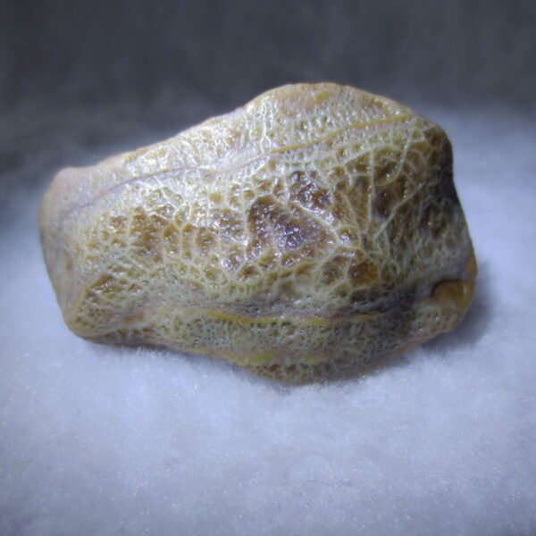 natural gobi eye stone，raw oracle eye agate，collectible crystal specimen (m106)