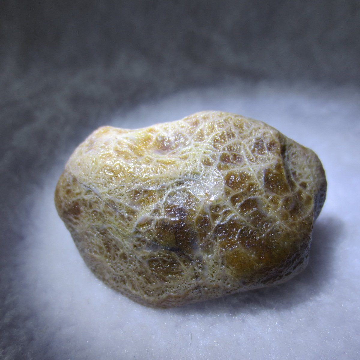 natural gobi eye stone，raw oracle eye agate，collectible crystal specimen (m106)