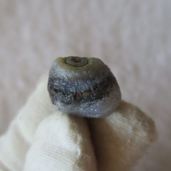 tiny gobi desert eye agate natural collectible rough stone specimen (m265) (copy)