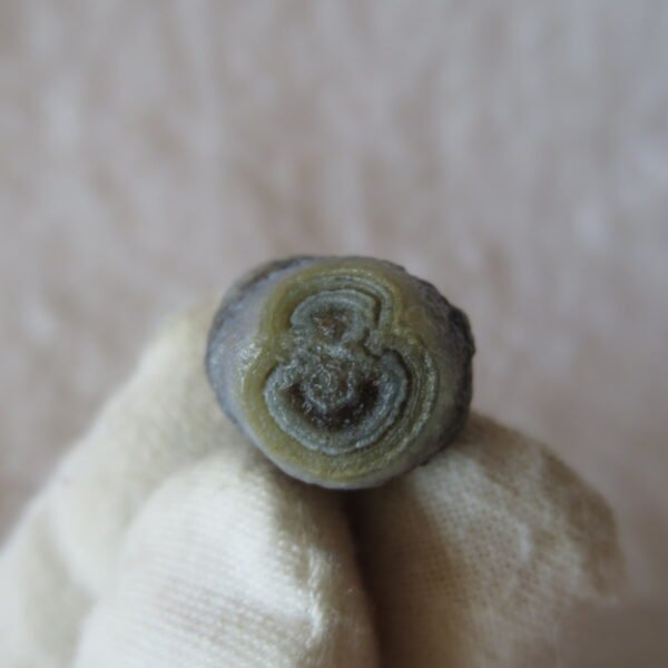 tiny gobi desert eye agate natural collectible rough stone specimen (m265) (copy)