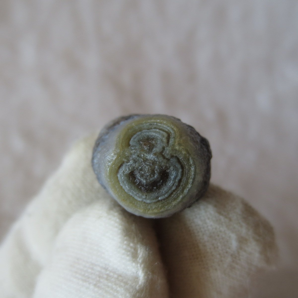 tiny gobi desert eye agate natural collectible rough stone specimen (m265) (copy)