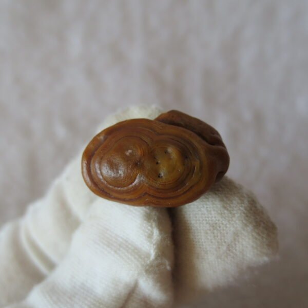 tiny gobi desert eye agate natural collectible rough stone specimen (m266) (copy)