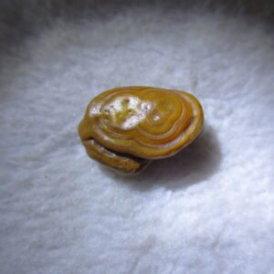 tiny gobi desert eye agate natural collectible rough stone specimen (m267)