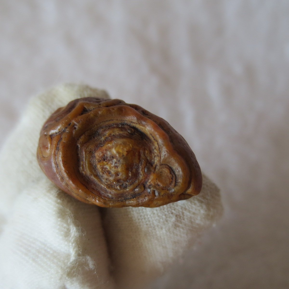 tiny gobi desert eye agate natural collectible rough stone specimen (m267) (copy)