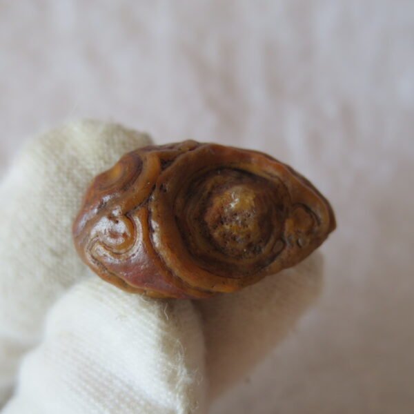 tiny gobi desert eye agate natural collectible rough stone specimen (m267) (copy)