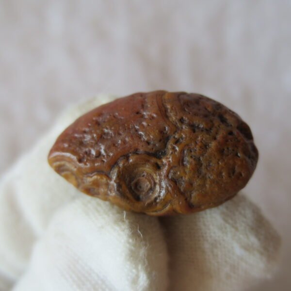 tiny gobi desert eye agate natural collectible rough stone specimen (m267) (copy)