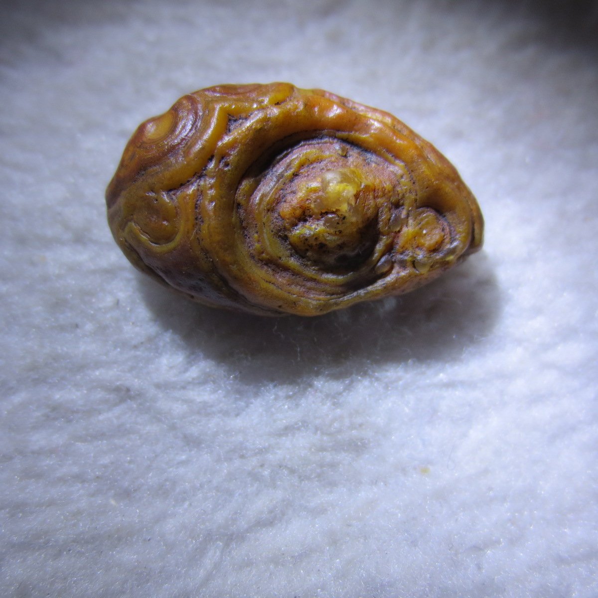 tiny gobi desert eye agate natural collectible rough stone specimen (m267) (copy)