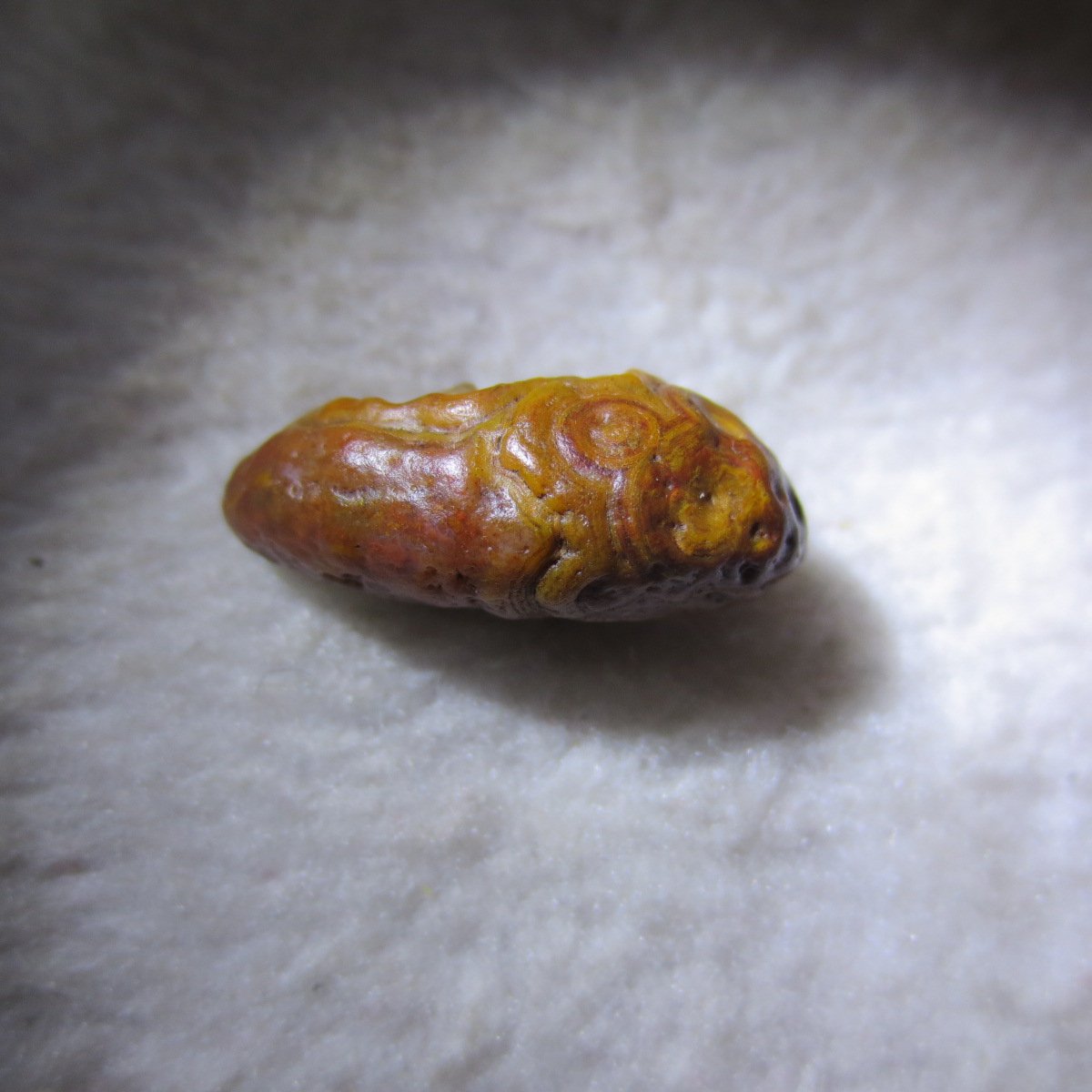 tiny gobi desert eye agate natural collectible rough stone specimen (m267) (copy)