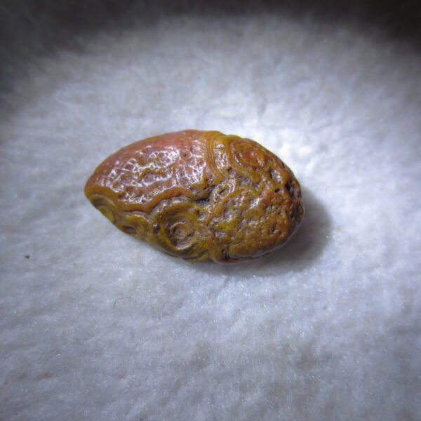 tiny gobi desert eye agate natural collectible rough stone specimen (m267) (copy)