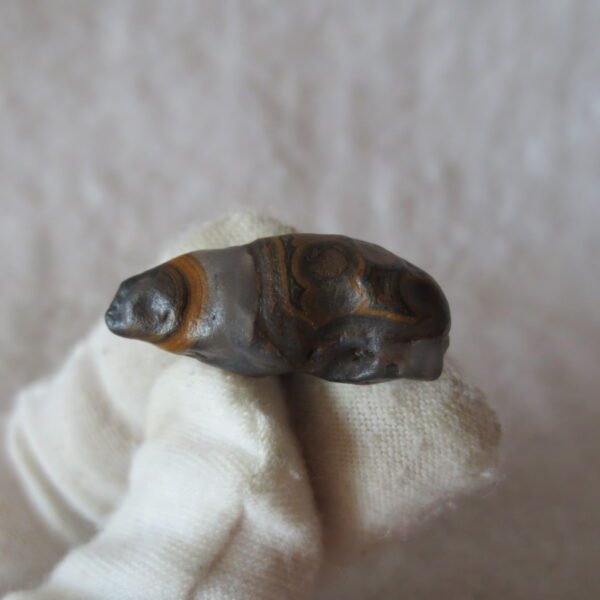 tiny gobi desert eye agate natural collectible rough stone specimen (m268) (copy)