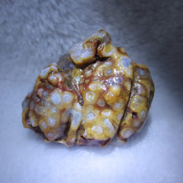 natural gobi eye stone，raw oracle eye agate，collectible crystal specimen (m110)