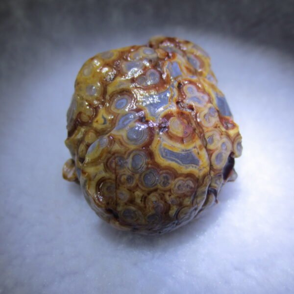 natural gobi eye stone，raw oracle eye agate，collectible crystal specimen (m110)