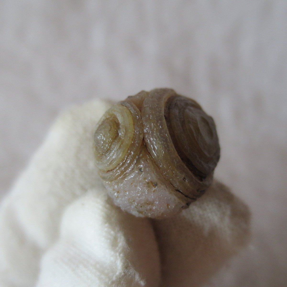tiny gobi desert eye agate natural collectible rough stone specimen (m270) (copy)