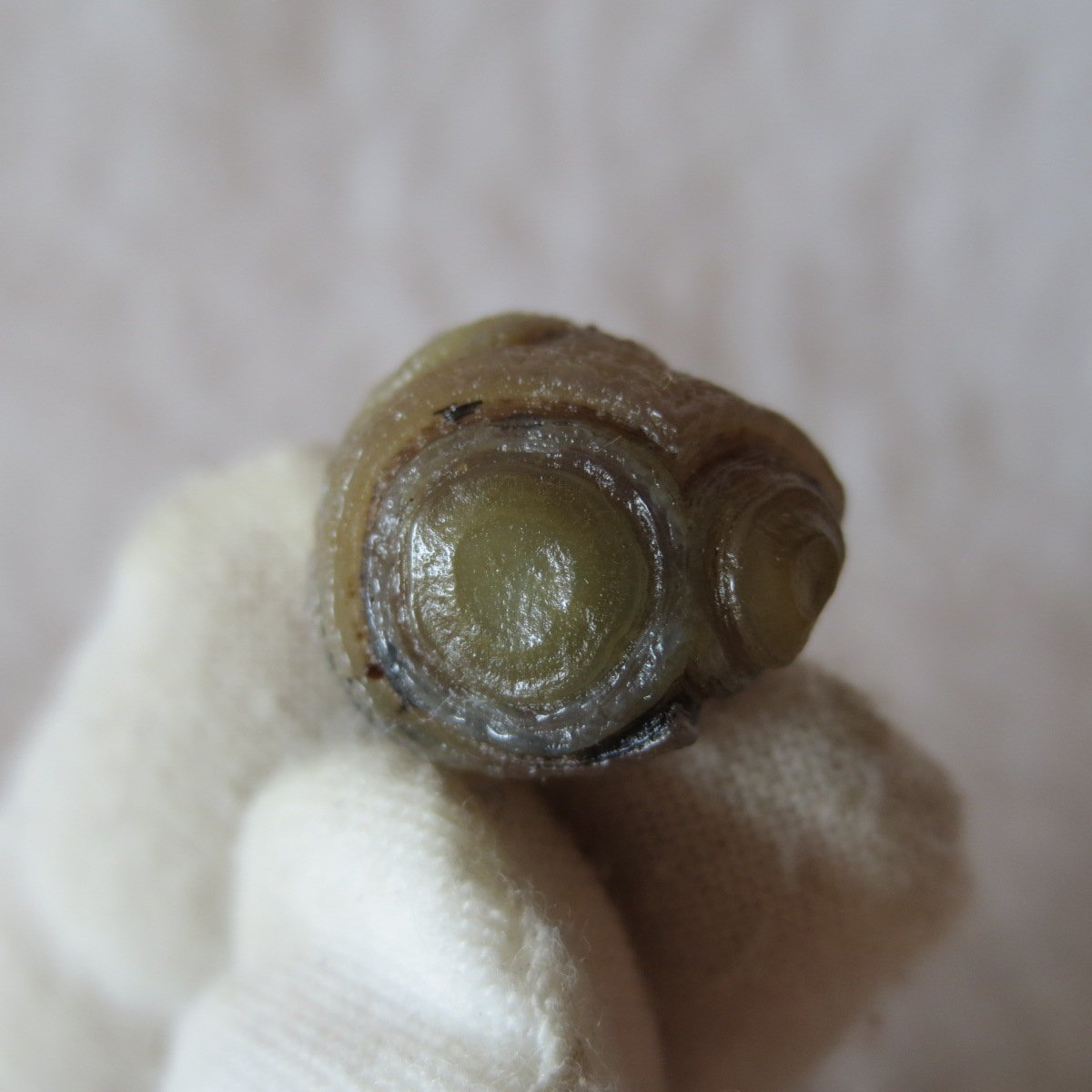 tiny gobi desert eye agate natural collectible rough stone specimen (m270) (copy)