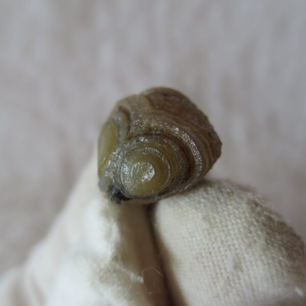 tiny gobi desert eye agate natural collectible rough stone specimen (m270) (copy)