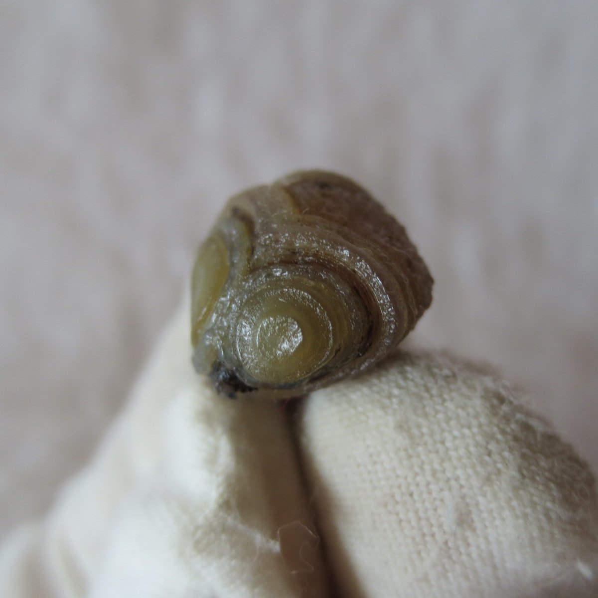 tiny gobi desert eye agate natural collectible rough stone specimen (m270) (copy)