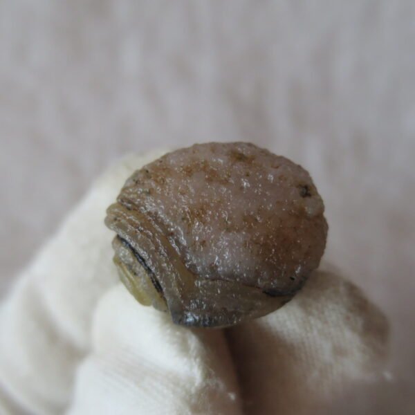 tiny gobi desert eye agate natural collectible rough stone specimen (m270) (copy)