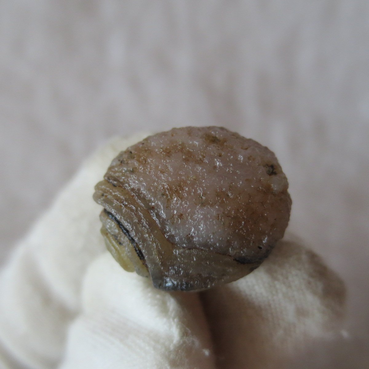 tiny gobi desert eye agate natural collectible rough stone specimen (m270) (copy)