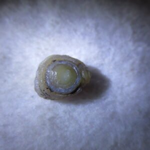 tiny gobi desert eye agate natural collectible rough stone specimen (m270) (copy)