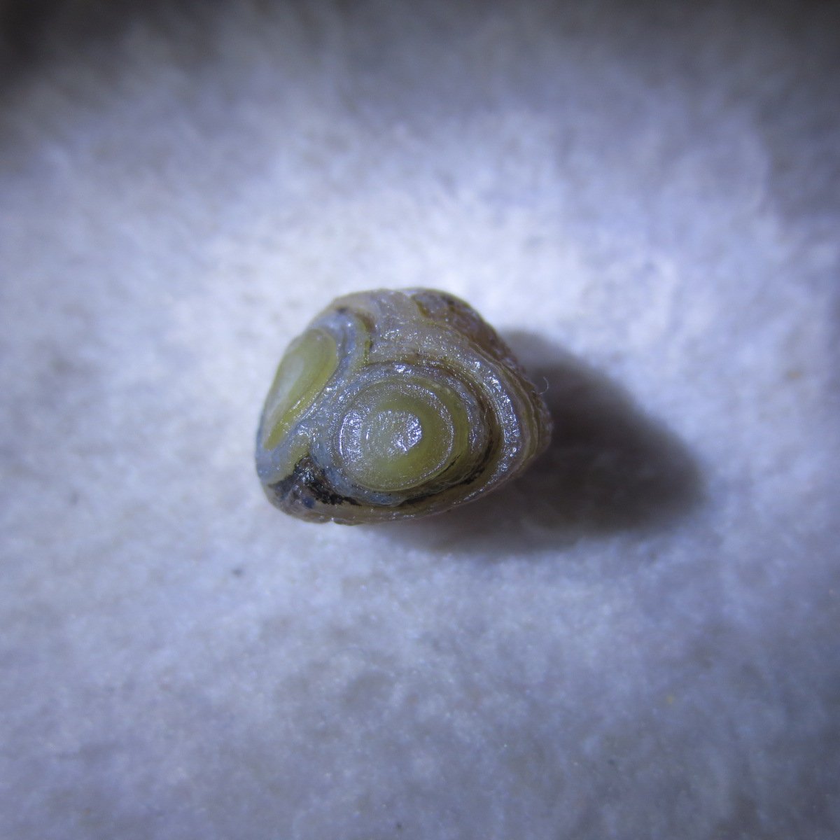 tiny gobi desert eye agate natural collectible rough stone specimen (m271)