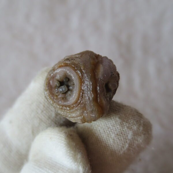 tiny gobi desert eye agate natural collectible rough stone specimen (m271) (copy)