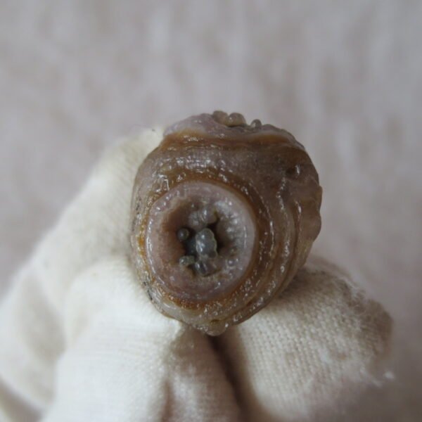 tiny gobi desert eye agate natural collectible rough stone specimen (m271) (copy)