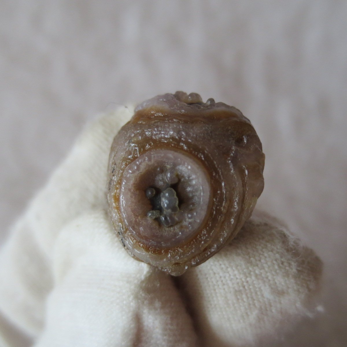 tiny gobi desert eye agate natural collectible rough stone specimen (m271) (copy)