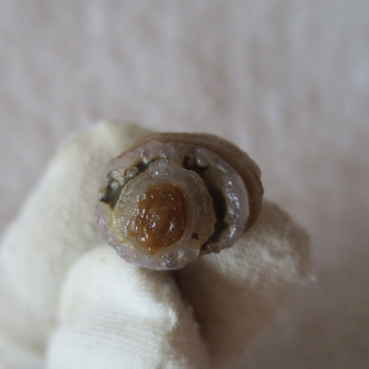 tiny gobi desert eye agate natural collectible rough stone specimen (m272)