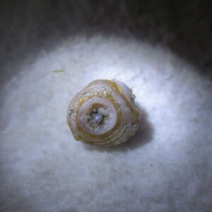 tiny gobi desert eye agate natural collectible rough stone specimen (m272)