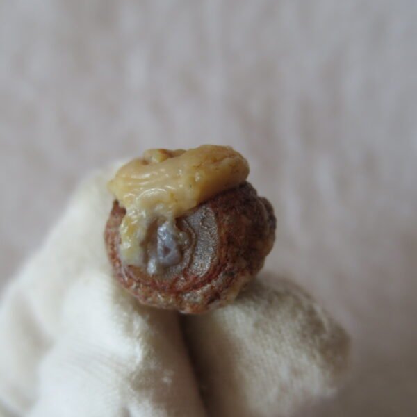 tiny gobi desert eye agate natural collectible rough stone specimen (m272) (copy)