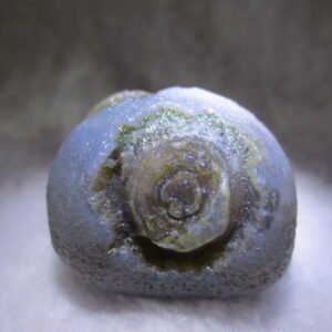 natural gobi eye stone，raw oracle eye agate，collectible crystal specimen (m114)