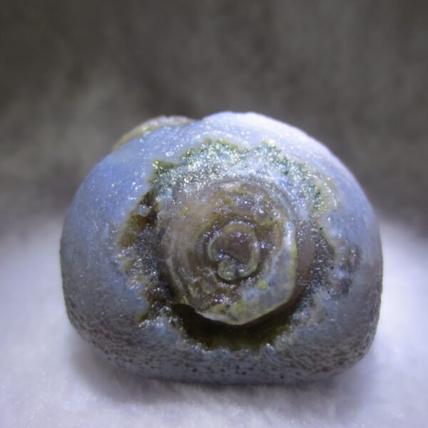 natural gobi eye stone，raw oracle eye agate，collectible crystal specimen (m114)
