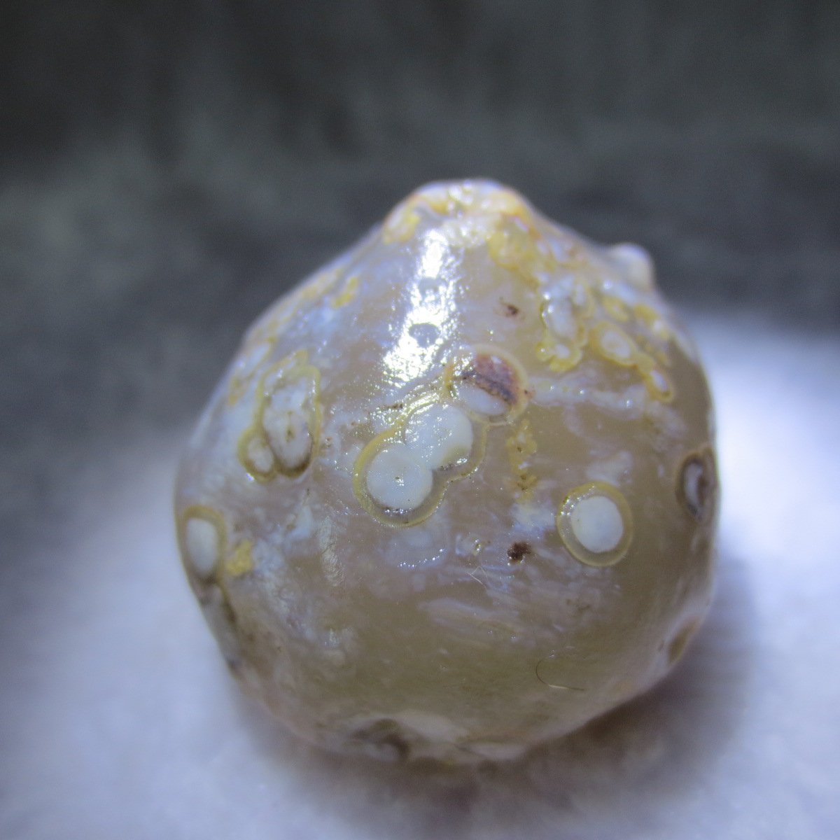 natural gobi eye stone，raw oracle eye agate，collectible crystal specimen (m116)