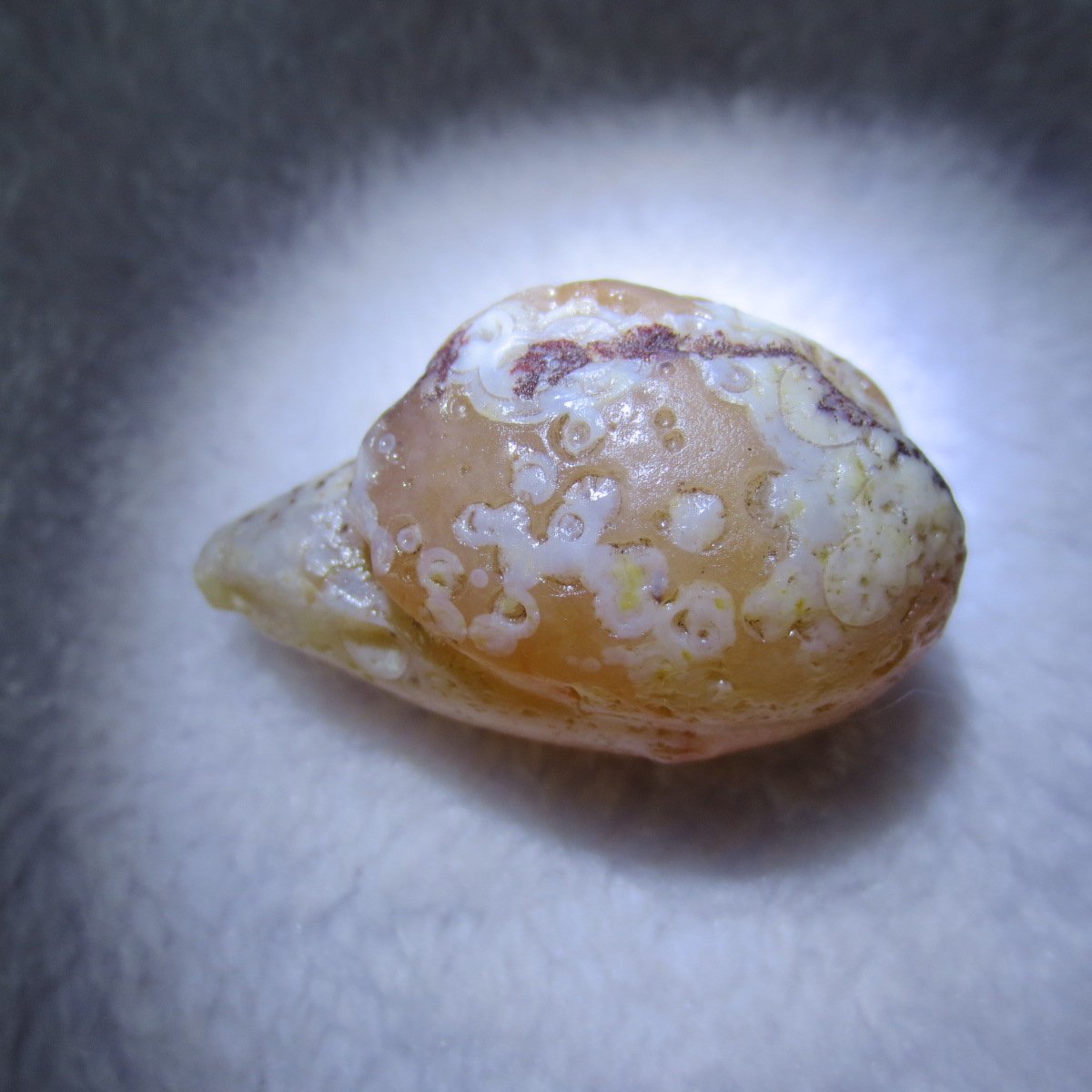 natural gobi eye stone，raw oracle eye agate，collectible crystal specimen (m117)