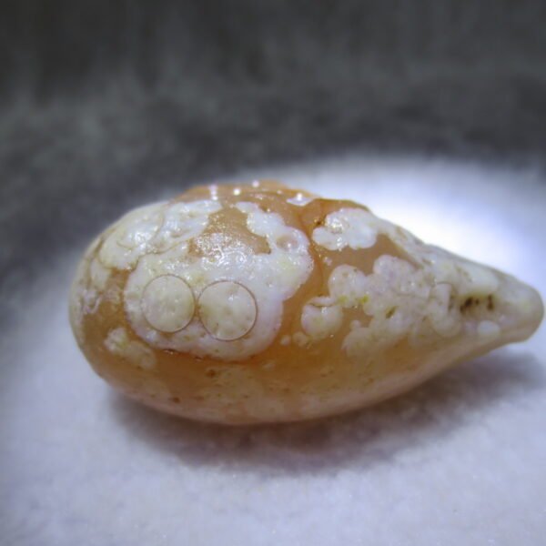 natural gobi eye stone，raw oracle eye agate，collectible crystal specimen (m117)