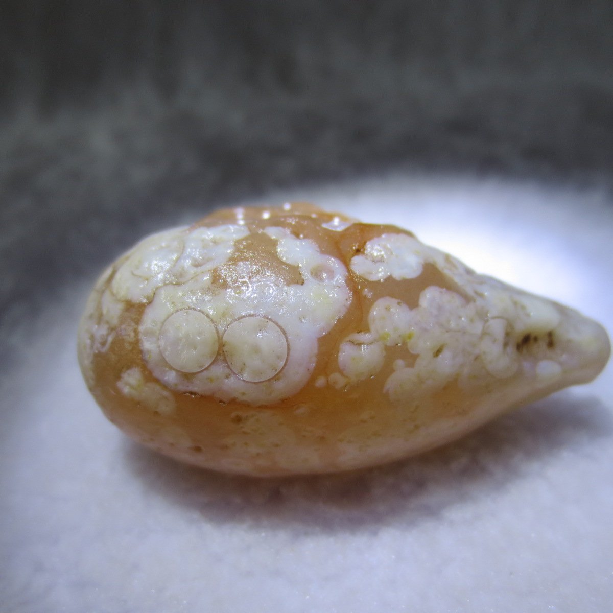 natural gobi eye stone，raw oracle eye agate，collectible crystal specimen (m117)