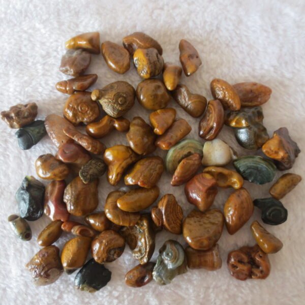 gobi desert candy raw rough stones natural gemstone specimen for collectors (p77)