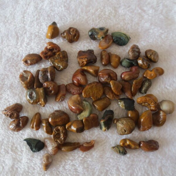 gobi desert candy raw rough stones natural gemstone specimen for collectors (p77)