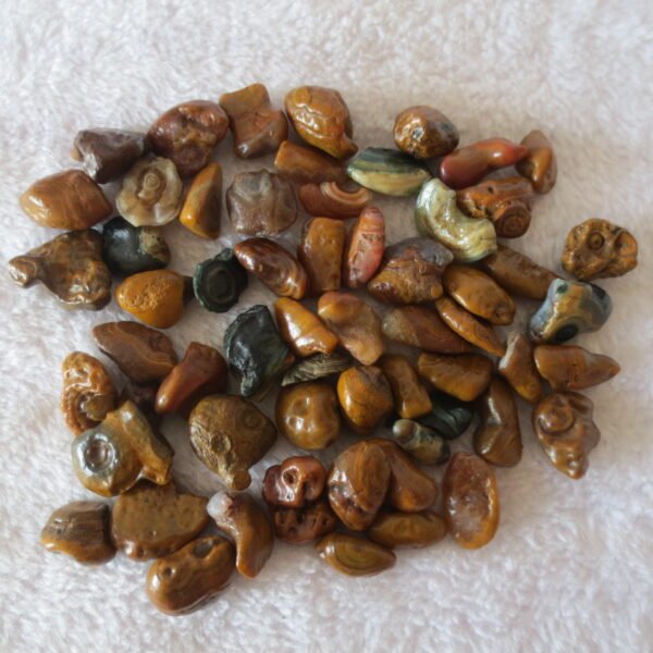 gobi desert candy raw rough stones natural gemstone specimen for collectors (p77)