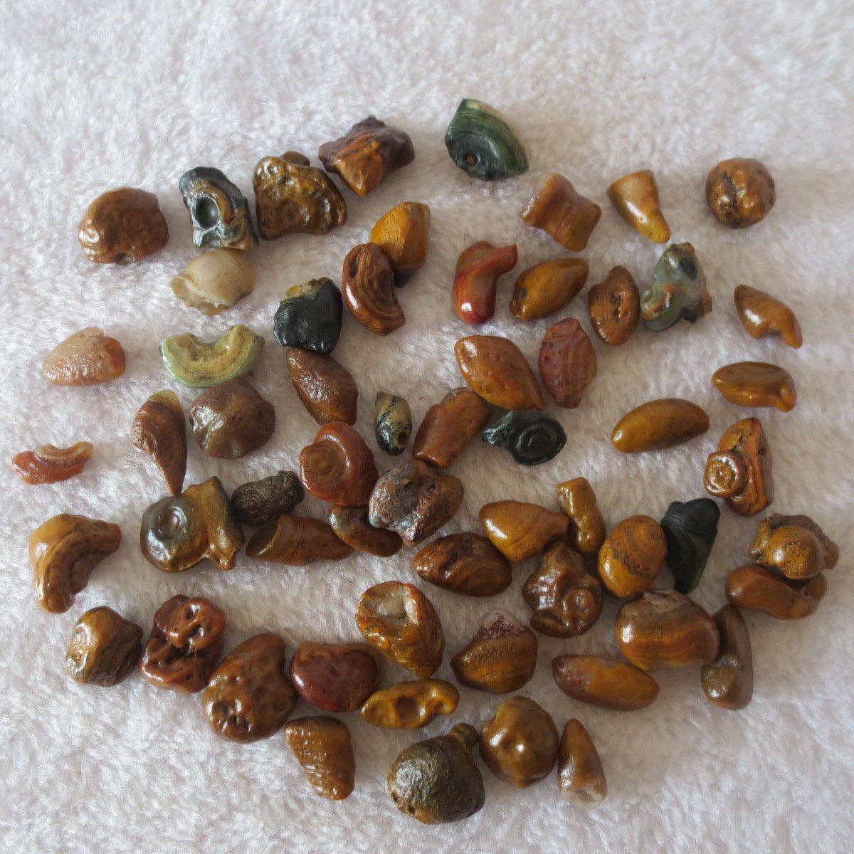 gobi desert candy raw rough stones natural gemstone specimen for collectors (p77)