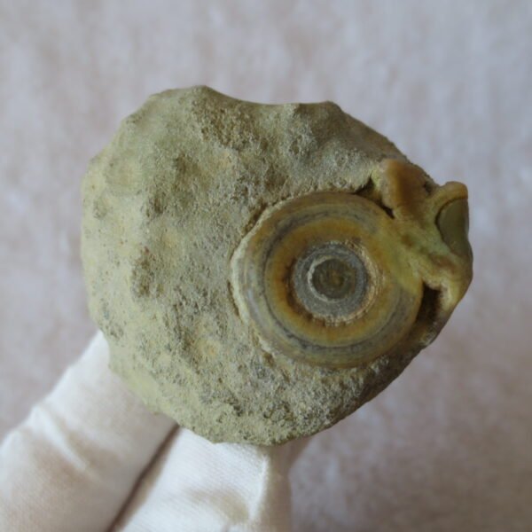 natural gobi eye stone，raw oracle eye agate，collectible crystal specimen (m107) (copy)