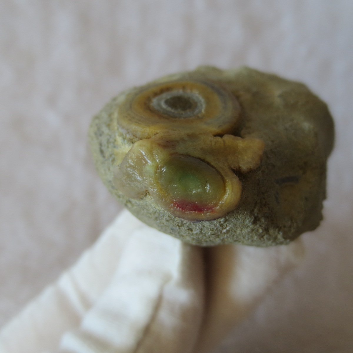natural gobi eye stone，raw oracle eye agate，collectible crystal specimen (m107) (copy)