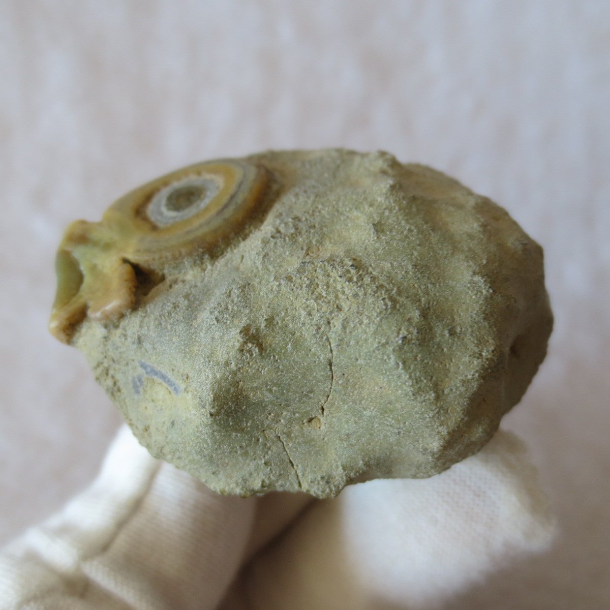 natural gobi eye stone，raw oracle eye agate，collectible crystal specimen (m107) (copy)