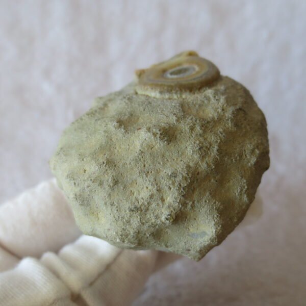 natural gobi eye stone，raw oracle eye agate，collectible crystal specimen (m107) (copy)