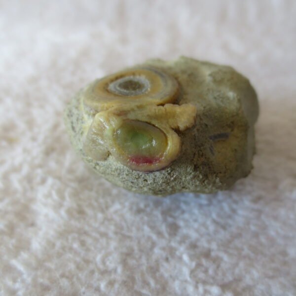 natural gobi eye stone，raw oracle eye agate，collectible crystal specimen (m107) (copy)