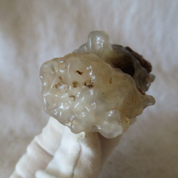 natural gobi eye stone，raw oracle eye agate，collectible crystal specimen (m93) (copy)