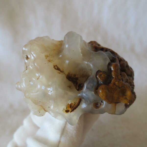 natural gobi eye stone，raw oracle eye agate，collectible crystal specimen (m93) (copy)